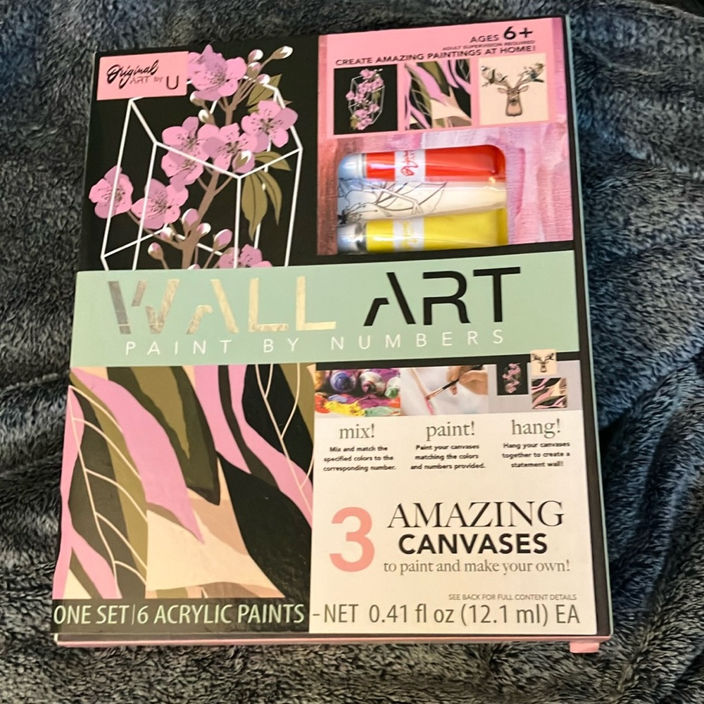 Wall art paint by numbers kit -3 canvases